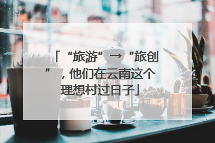 “旅游”→“旅创”，他们在云南这个理想村过日子