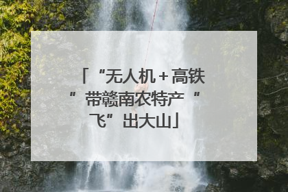 “无人机＋高铁”带赣南农特产“飞”出大山