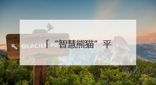 “智慧熊猫”平台上线月余注册用户破万 打造数字连侨新模式