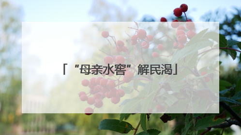 “母亲水窖”解民渴