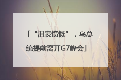 “沮丧愤慨”，乌总统提前离开G7峰会