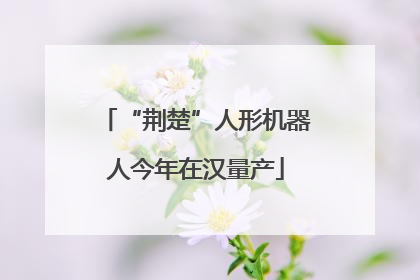 “荆楚”人形机器人今年在汉量产