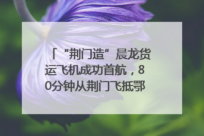 “荆门造”晨龙货运飞机成功首航，80分钟从荆门飞抵鄂州花湖机场