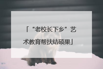 “老校长下乡”艺术教育帮扶结硕果