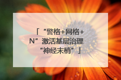 “警格+网格+N”激活基层治理“神经末梢”