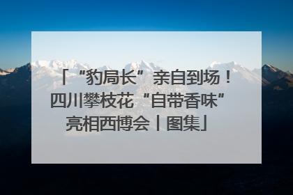 “豹局长”亲自到场！四川攀枝花“自带香味”亮相西博会丨图集