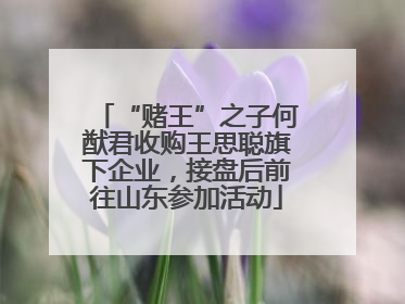 “赌王”之子何猷君收购王思聪旗下企业，接盘后前往山东参加活动