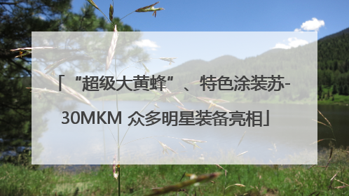 “超级大黄蜂”、特色涂装苏-30MKM 众多明星装备亮相