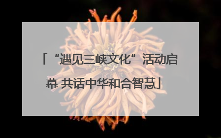 “遇见三峡文化”活动启幕 共话中华和合智慧