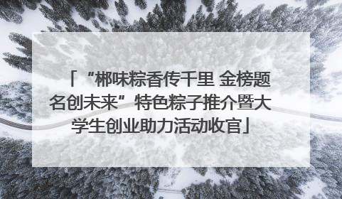 “郴味粽香传千里 金榜题名创未来”特色粽子推介暨大学生创业助力活动收官