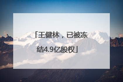 王健林，已被冻结4.9亿股权