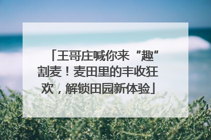 王哥庄喊你来“趣”割麦！麦田里的丰收狂欢，解锁田园新体验