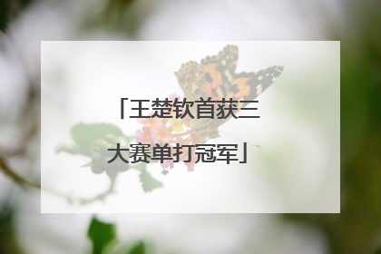 王楚钦首获三大赛单打冠军
