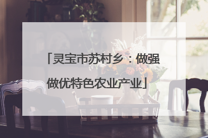 灵宝市苏村乡：做强做优特色农业产业