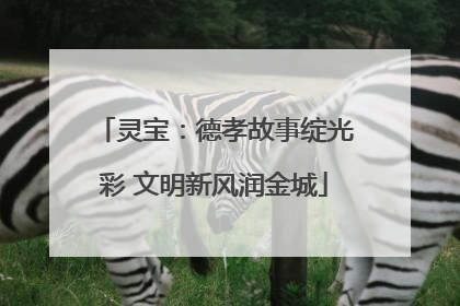 灵宝：德孝故事绽光彩 文明新风润金城