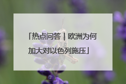 热点问答｜欧洲为何加大对以色列施压