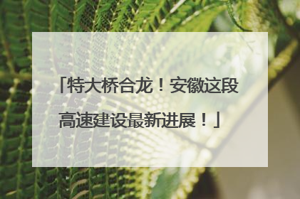 特大桥合龙！安徽这段高速建设最新进展！