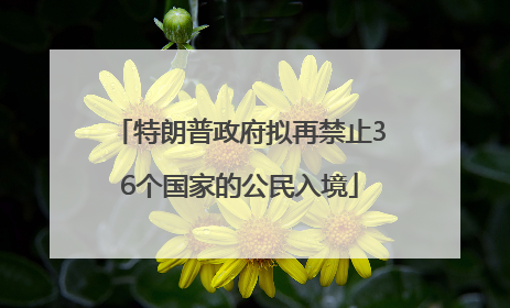 特朗普政府拟再禁止36个国家的公民入境