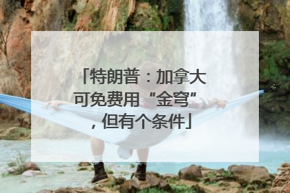 特朗普：加拿大可免费用“金穹”，但有个条件