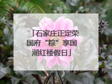 石家庄正定荣国府“粽”享国潮红楼假日