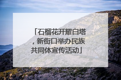 石榴花开耀白塔，新街口举办民族共同体宣传活动