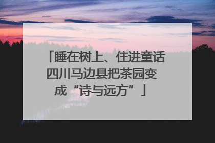 睡在树上、住进童话 四川马边县把茶园变成“诗与远方”