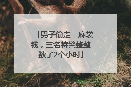 男子偷走一麻袋钱，三名特警整整数了2个小时