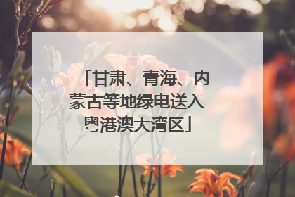 甘肃、青海、内蒙古等地绿电送入粤港澳大湾区