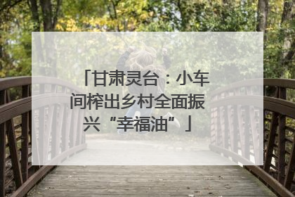 甘肃灵台：小车间榨出乡村全面振兴“幸福油”
