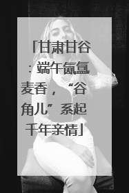 甘肃甘谷：端午氤氲麦香，“谷角儿”系起千年亲情