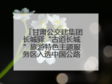 甘肃公交建集团长城驿“古道长城”旅游特色主题服务区入选中国公路学会“2025年度交通与旅游融合创新项目”