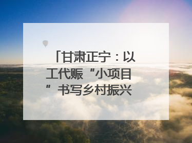 甘肃正宁：以工代赈“小项目”书写乡村振兴“大文章”