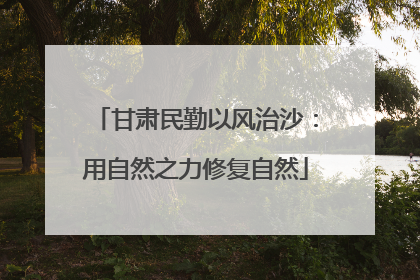 甘肃民勤以风治沙：用自然之力修复自然