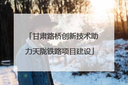 甘肃路桥创新技术助力天陇铁路项目建设