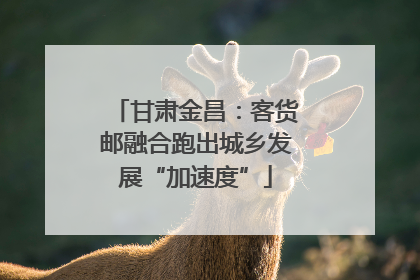 甘肃金昌：客货邮融合跑出城乡发展“加速度”