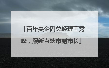 百年央企副总经理王秀峰，履新直辖市副市长
