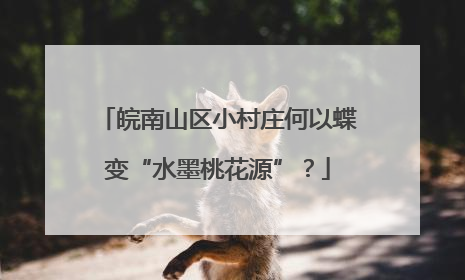 皖南山区小村庄何以蝶变“水墨桃花源”？