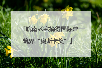 皖南老宅摘得国际建筑界“奥斯卡奖”