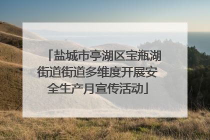 盐城市亭湖区宝瓶湖街道街道多维度开展安全生产月宣传活动