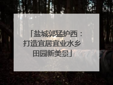 盐城郭猛护西：打造宜居宜业水乡田园新美景