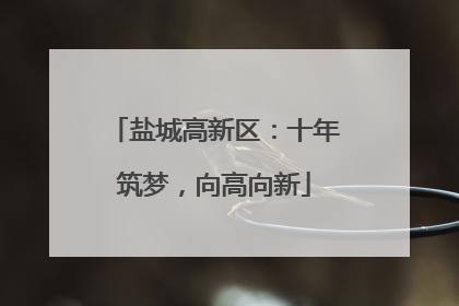 盐城高新区：十年筑梦，向高向新
