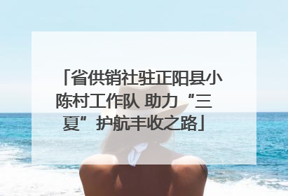 省供销社驻正阳县小陈村工作队 助力“三夏”护航丰收之路