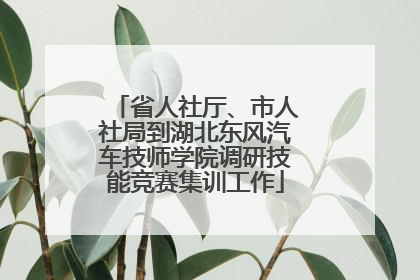 省人社厅、市人社局到湖北东风汽车技师学院调研技能竞赛集训工作