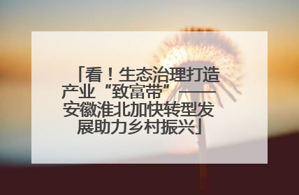 看！生态治理打造产业“致富带”——安徽淮北加快转型发展助力乡村振兴