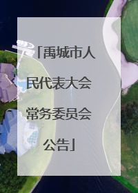 禹城市人民代表大会常务委员会公告