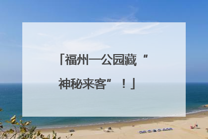 福州一公园藏“神秘来客”！