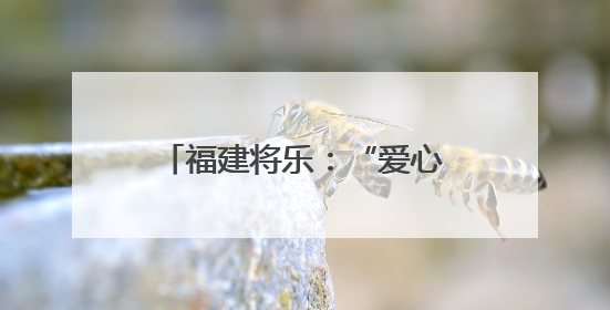 福建将乐：“爱心妈妈”连续6载暖心护航高考家庭