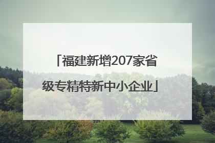 福建新增207家省级专精特新中小企业