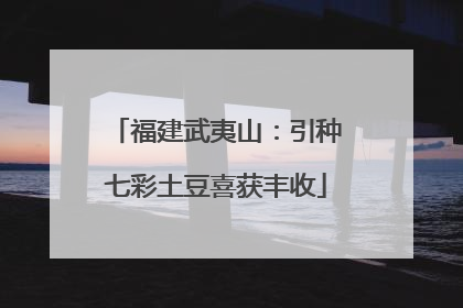 福建武夷山：引种七彩土豆喜获丰收