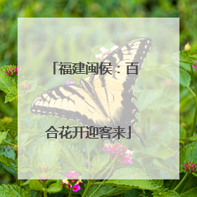 福建闽侯：百合花开迎客来